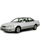 ES 1989 - 1997