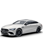 AMG GT X290 2018 -