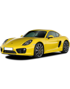 CAYMAN 981 2013 -