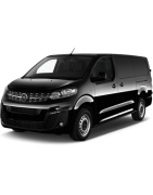 VIVARO C 2019 -