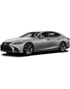 LS 2017 -